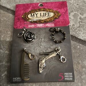 Silver and Gold Charm Set